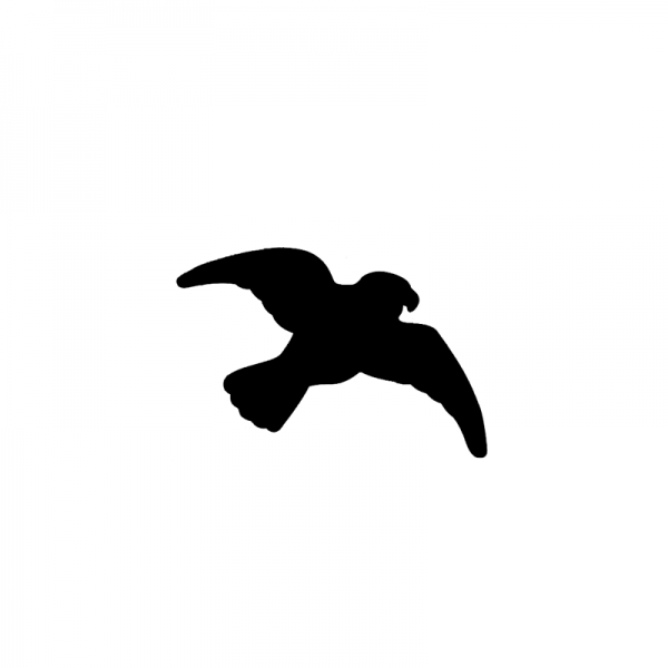 Repel Kuş Gölgesi Sticker Kuş Kovucular